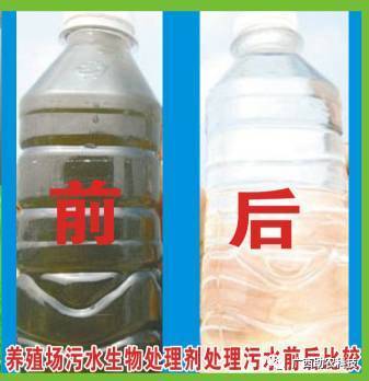 一桶解千愁 养殖场污水生物处理剂让环保达标不再难